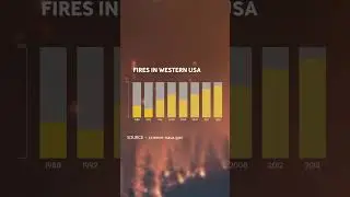 Uncovering Forest Fires | Part 1