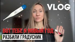 Как встретили Новый год | Распаковка покупок из OZON