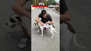 Cuando ves un perro abandonado 🤣🌏