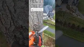 How to Remove a Tree In A Tight Spot😱😱😱#chainsawman #treefelling #arborist