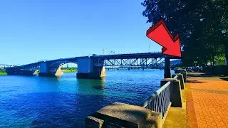 Tom McCall Waterfront Park Portland Walking Tour 2024