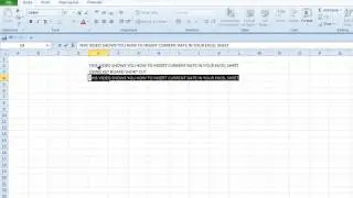 How to insert current date in Excel Sheet