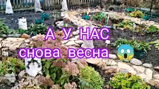 ГЛОБАЛЬНОЕ ПОТЕПЛЕНИЕ 😱 ЧТО БУДЕТ С РОСТЕНИЯМИ 🤔 ОБЗОР САДА 🌺