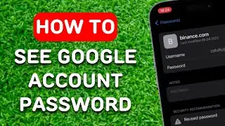 How To See Google Account Password If You Forgot It (2024 Updated) - Full Guide