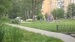Кабаны в Мытищах продолжают выходить на территорию п. Дружба