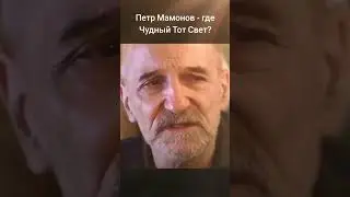 Петр Мамонов - где Чудный Тот Свет? #мамонов #пётр #петрмамонов