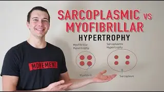 Sarcoplasmic vs. Myofibrillar Hypertrophy