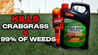 Home Depot's MOST POWERFUL HERBICIDE that kills 99% of weeds