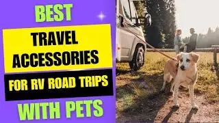 Best Travel Accessories for RV Road Trips with Pets