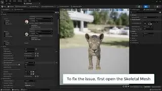 Unreal Engine 5   Groom disappears after assigning Binding Asset