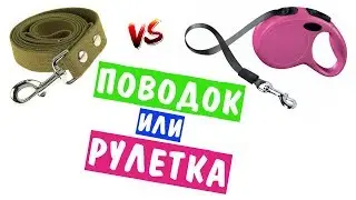 ПОВОДОК ИЛИ РУЛЕТКА?