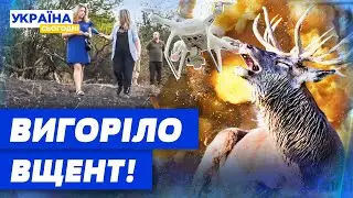 Армія РФ ЗНИЩУЄ ЗАПОВІДНИК ХОРТИЦЯ! Чорна випалена земля! Екологічний удар!