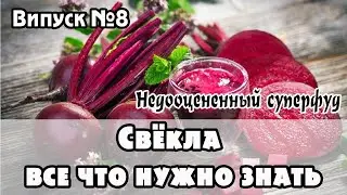 Свёкла - энергетическая ценность, польза и вред для человека, совместимость с сырыми продуктами