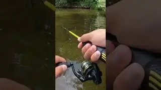 Eating What I Catch 🎣 *Micro Edition*