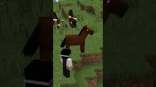 Minecraft'ı 1 Dakikada Bitirebilir miyiz?