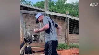Прикольные видео 2021