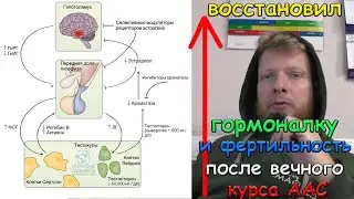 Восстановил дугу ГГЯ за 4 месяца после вечного курса деки соло (перезалив)