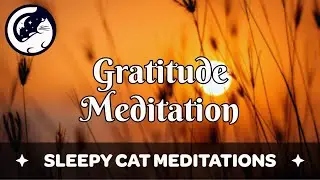 Powerful Meditation for Gratitude and Appreciation