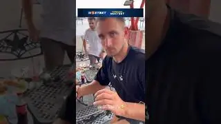 АДЕЛЬ НАПУГАЛА МИШУ ЛИТВИНА 
