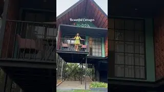 Resort in Wayanad | Weekend Getaway | Cottage resorts | Budget friendly resorts | Bay View Suites