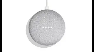 Google Home Mini: Australianisms