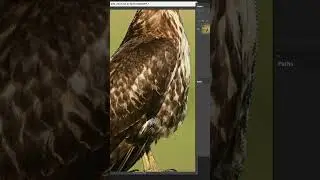 Turn Selection into a Path 