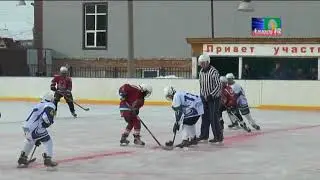 Золотая шайба