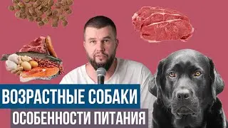 Особенности кормления возрастных собак (9 лет и старше)