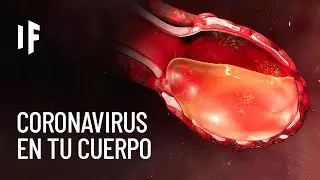 ¿Qué le pasa a tu cuerpo si te contagias de coronavirus?