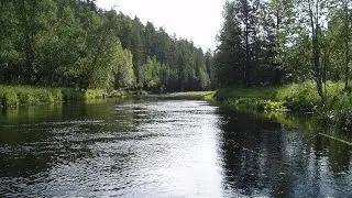 Четыре сентябрьских дня.