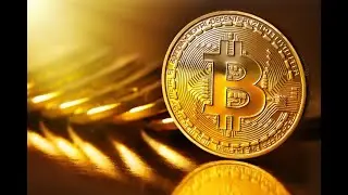 Bitcoin Gold coin | Interesting Facts | About the token BTG