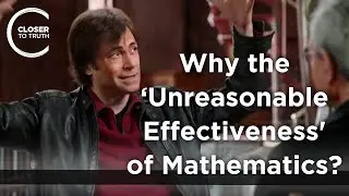 Max Tegmark - Why the ‘Unreasonable Effectiveness’ of Mathematics?