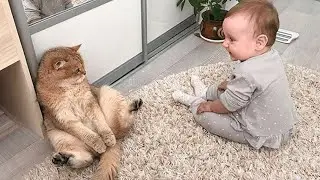 When your cat become a special friend 👶❤️🐱Cute Cats and Human