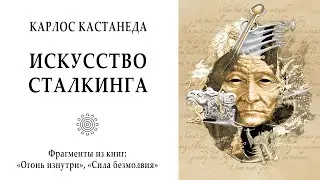 Искусство сталкинга / Карлос Кастанеда. Учение Дона Хуана. Огонь изнутри, Сила безмолвия