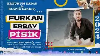 Pisik Oyun Havası - Furkan Erbay 2024