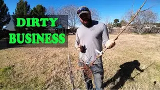 The Truth About BareRoot Trees | Watch This Before Buying!!!