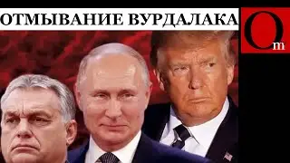 Поражение в войне превращает путина в неудачника, а его страну – в геополитическое недоразумение