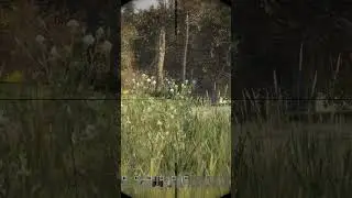 Разница между Тундрой и ДМР  #dayzmoments