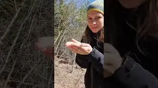 Как лечиться весной?