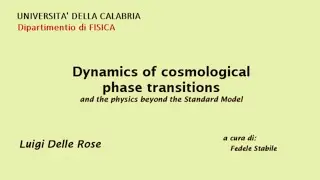 Luigi Delle Rose - Dinamica delle transizioni di fase cosmologiche