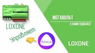 Loxone 💚 управляет Алисой #умныйдом #loxone #Алиса