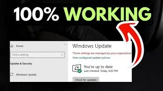 How to Fix Some Settings Are Managed By Your Organization In Windows 11