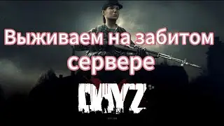 DayZ На оф. сервере с нуля) #dayz