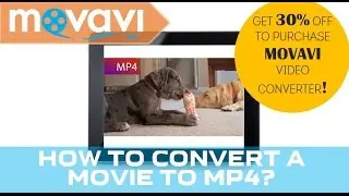 Convert ANY Video to MP4 Format! Movavi Video Converter 15