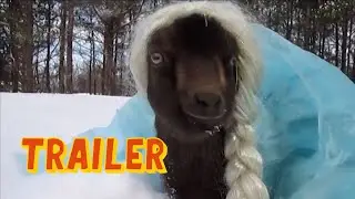 The World's Funniest Animals: Season 3 - Let it Go Trailer (2022)