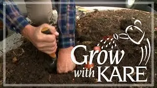 Grow with KARE: Plant your spring bulbs!