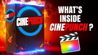 Whats Inside CINEPUNCH for Final Cut Pro X?