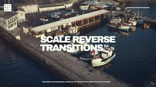 Scale Reverse Transitions V 4 815312