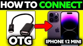 How To Connect OTG to IPhone 12 Mini (2025) - Step by Step