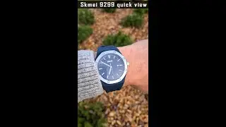 Skmei 9299 quick watch view 